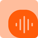 AudioSurvey